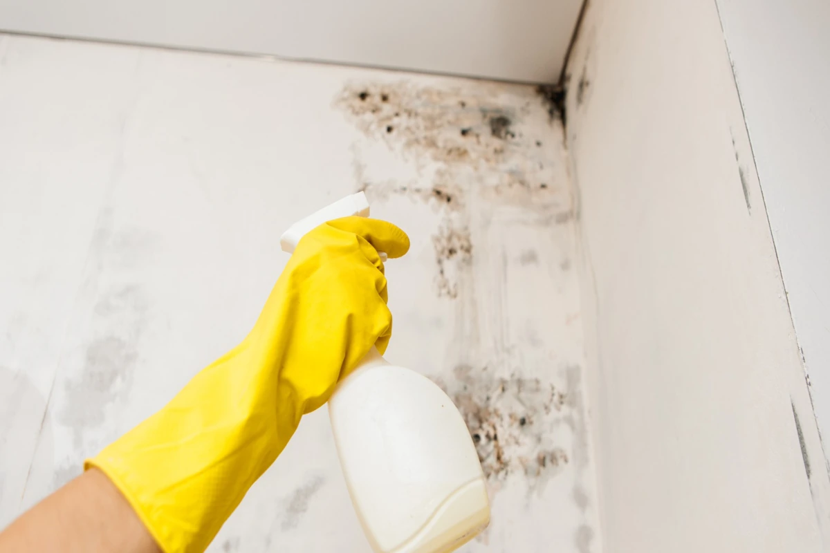 Le spore rilasciate nell'aria possono causare gravi problemi respiratori, soprattutto nei bambini, negli anziani e nelle persone con sistema immunitario debole